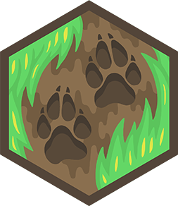 Skill image